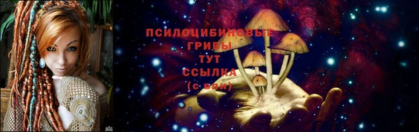 спайс Покровск